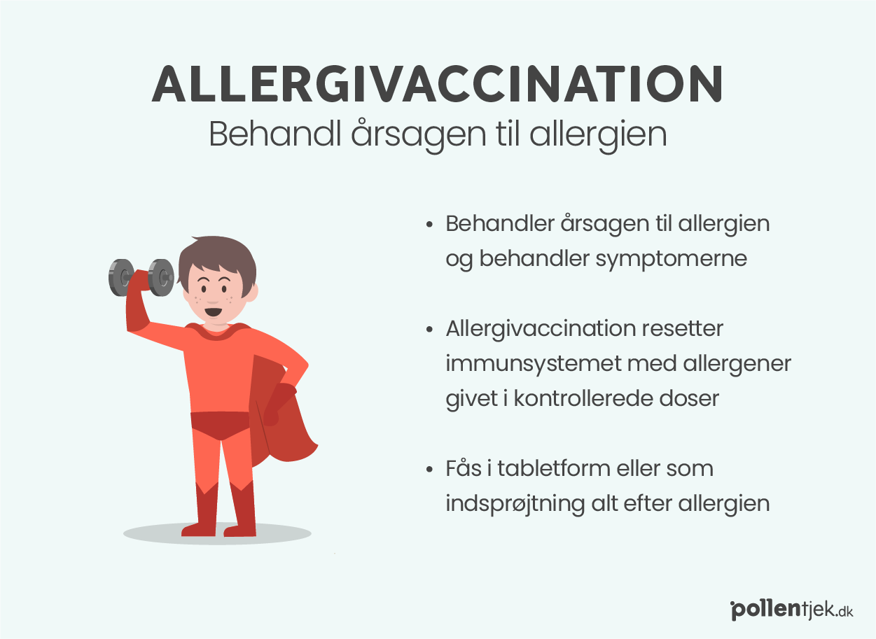 Infografik allergivaccination